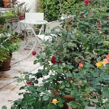 Le Ortensie לינה וארוחת בוקר