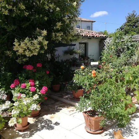 Le Ortensie Castagnole