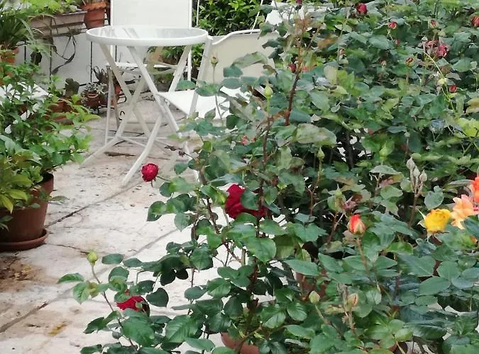 Le Ortensie Frühstückspension