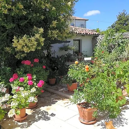 Le Ortensie Oda ve Kahvaltı Castagnole