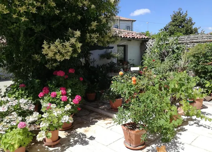 Le Ortensie Castagnole